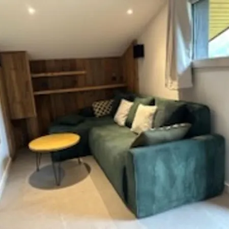 Skis Aux Pieds, 2 Cabines, Wifi, Animaux Admis - Fr-1-181-2305 Appartement
