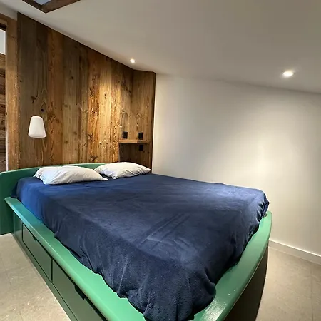 Skis Aux Pieds, 2 Cabines, Wifi, Animaux Admis - Fr-1-181-2305 * La Plagne-Tarentaise