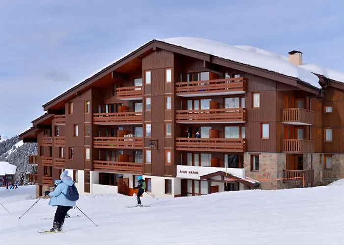 Appartement Skis Aux Pieds, 2 Cabines, Wifi, Animaux Admis - Fr-1-181-2305 La Plagne-Tarentaise
