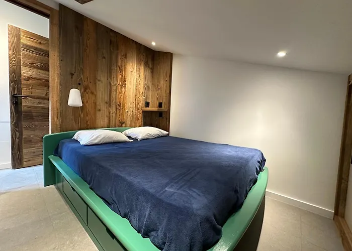 Skis Aux Pieds, 2 Cabines, Wifi, Animaux Admis - Fr-1-181-2305 * La Plagne-Tarentaise