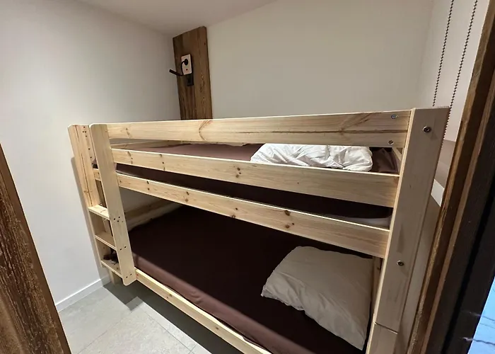 Appartement Skis Aux Pieds, 2 Cabines, Wifi, Animaux Admis - Fr-1-181-2305 *